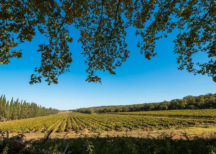 Domaine De Panery